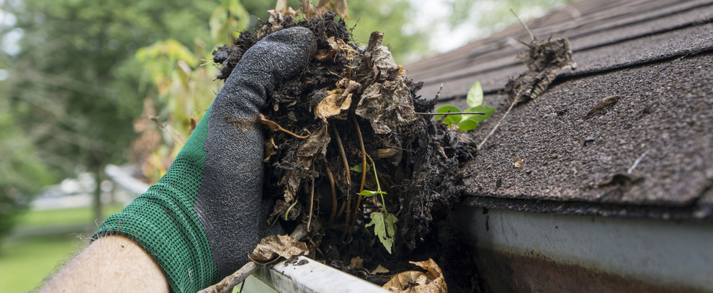 Person cleaing out gutters