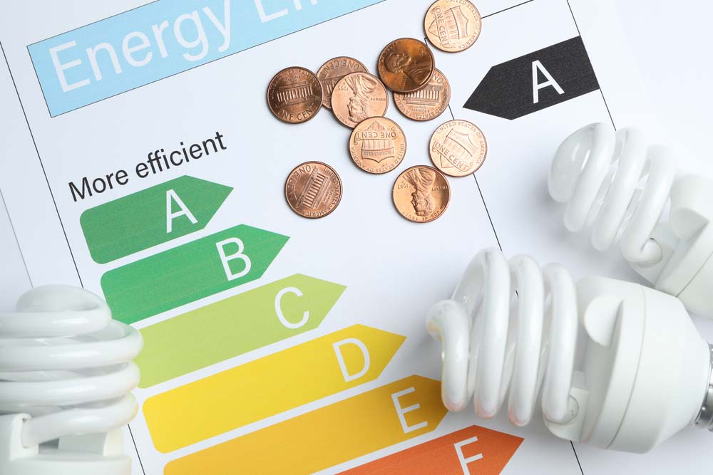 A flat lay of efficient light bulbs against a chart about energy efficiency. 