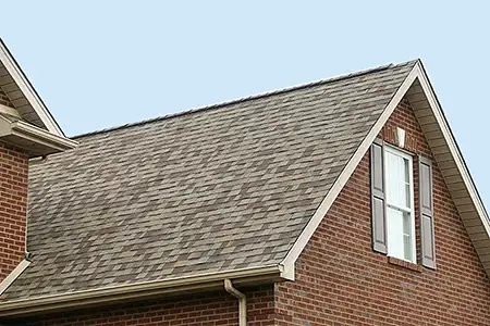 Shingle Roof Replacement