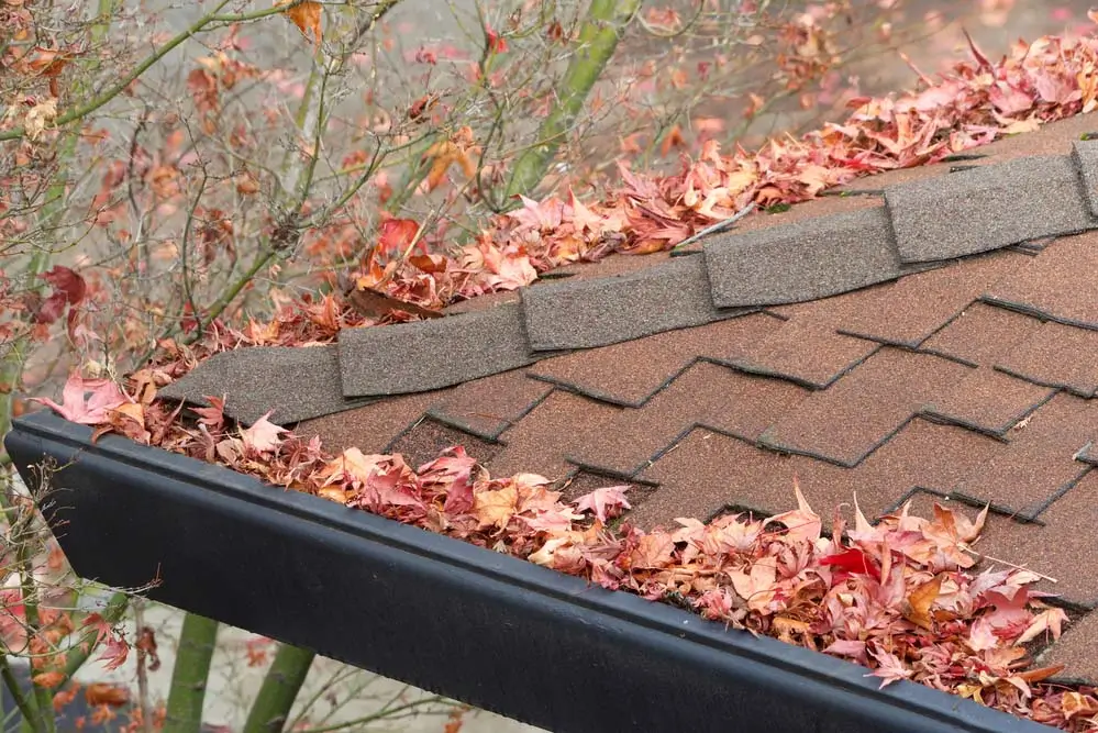 gutters clogged with leaves on a home with a shingle roof