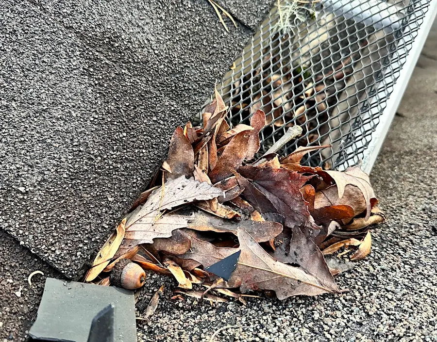 Leaves blocked by gutter guards